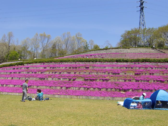 茨城県笠間市 芸術の森公園