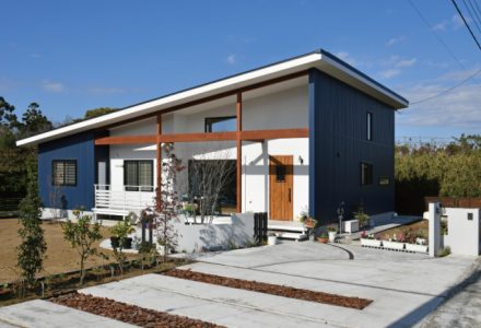 ペットと暮らすスキップフロアのある平屋