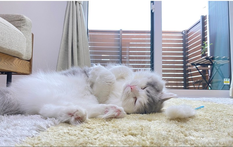 外部からの視線を気にせずのんびり過ごせるタイルデッキ