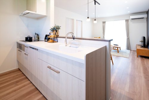 陽光を受ける片流れ屋根　シンプルスタイルの平屋