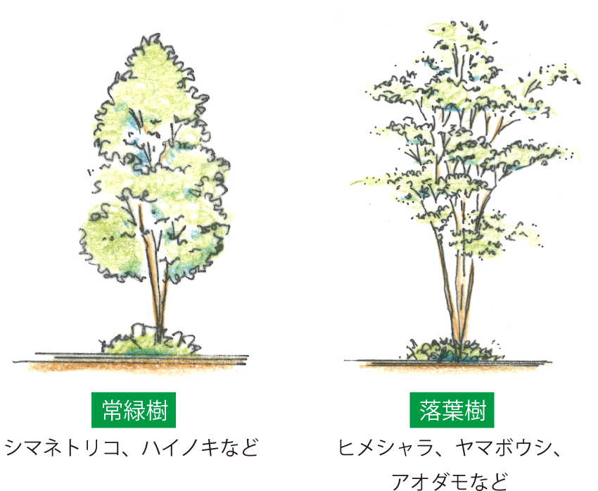 シンボルツリー
