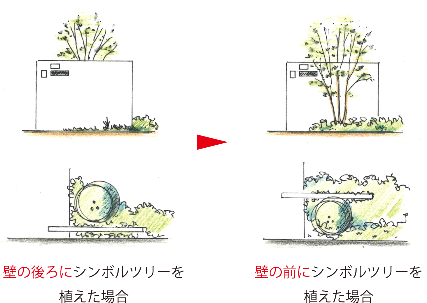 低いシンボルツリーを大きく魅せる