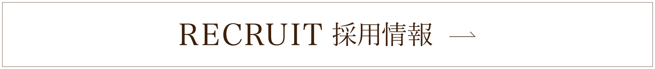 採用情報