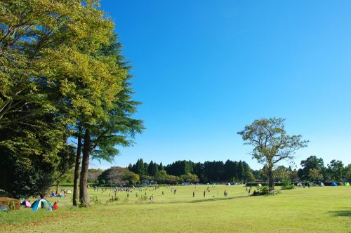 千葉県　公園