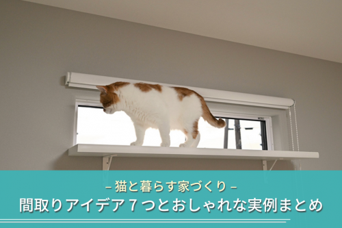 猫と暮らす家づくりの間取りアイデア