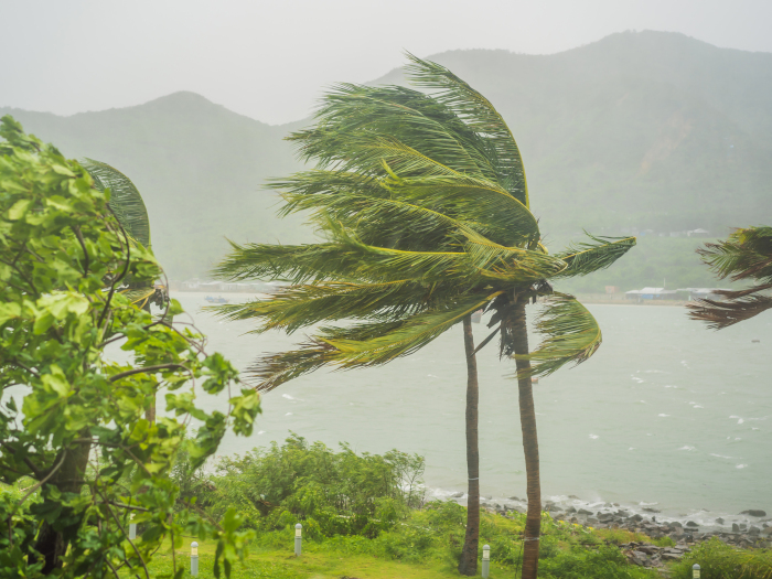 台風は増加・強大傾向に