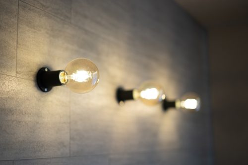 光と緑を抱く　平屋のガレージハウス