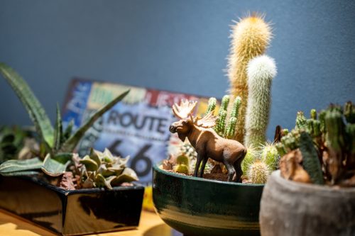 カリフォルニアの風をまとう アクティブライフを叶える家